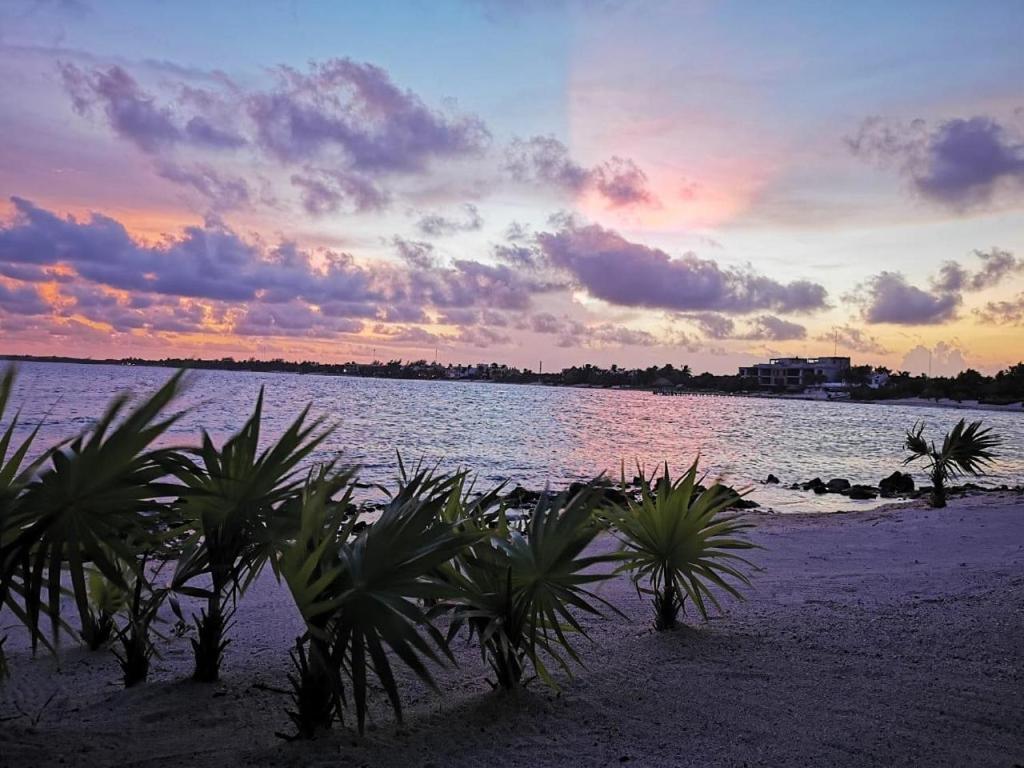 Tulsayab Luxury Development Apartamento Tulum Exterior foto